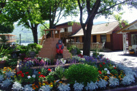 Early May Specials Early May Specials